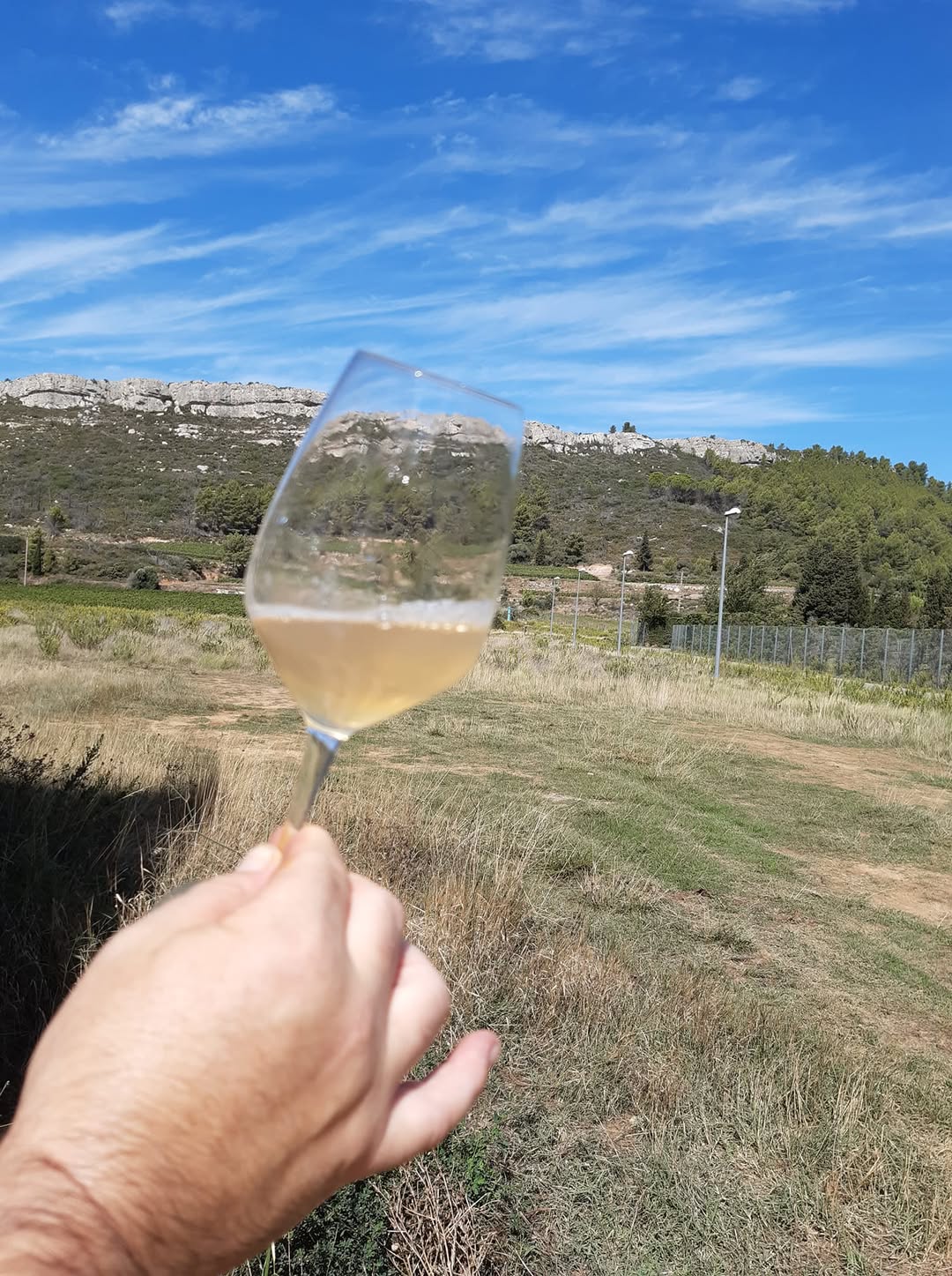 470233916_2823369524517903_7594776979972344581_n